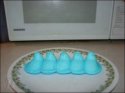 2bluepeeps01a.jpg