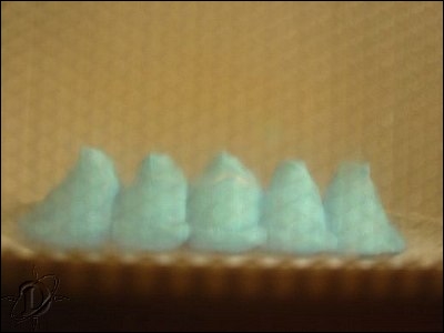 2bluepeeps05.jpg