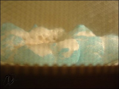2bluepeeps10.jpg