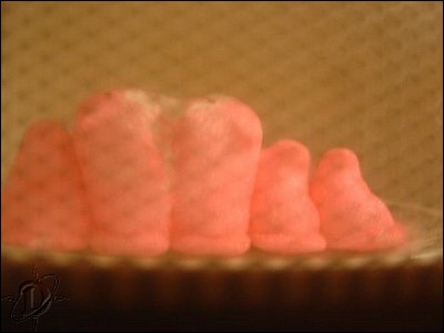 3pinkpeeps07.jpg