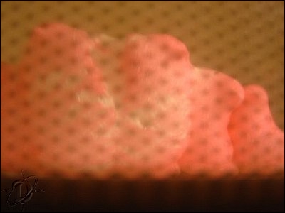 3pinkpeeps08.jpg