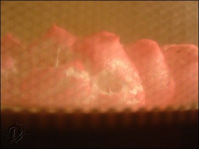 3pinkpeeps10.jpg