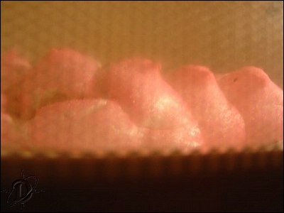 3pinkpeeps11.jpg