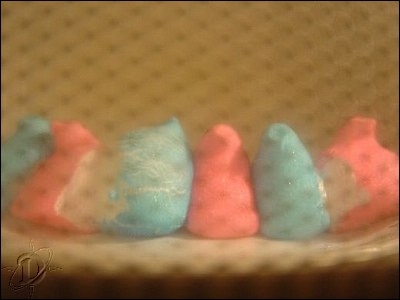 4multipeeps03.jpg