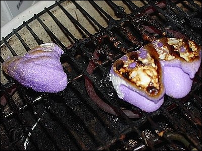 02toast04.jpg