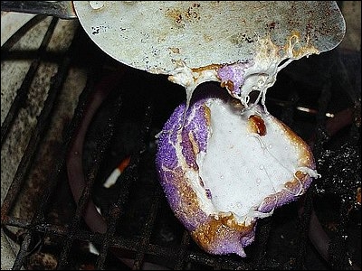 02toast08.jpg