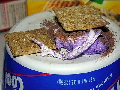 03smores02.jpg