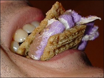 03smores03.jpg