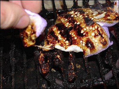04flames00.jpg